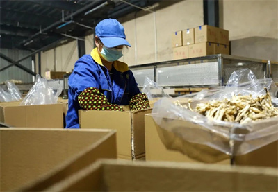 玉屏 市場需求旺，菌棒生產忙，食品互聯網銷售助農增收